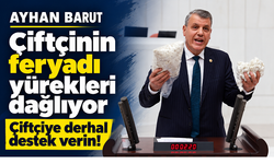 Ayhan Barut: “Çiftçinin feryadı yürekleri dağlıyor, derhal destek verin”