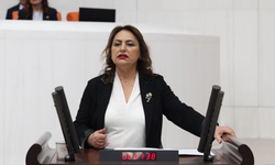 Müzeyyen Şevkin: “Fon Krizi Değil, Yüzyılın Vurgunu! 4,5 Milyon İnsanın Hakkını Ödeyin”