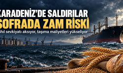 Karadeniz’de saldırılar, sofrada zam riski: Tahıl ticaretinde maliyetler yükseliyor