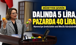 Şevkin narenciyeleri Meclis kürsüsüne boşalttı: “Dalında 5 lira, pazarda 40 lira! Bu nasıl düzen?”