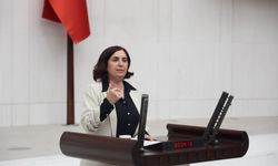 Sevilay Çelenk: Amed’de uzman hekim açığı giderilsin, sağlık hizmetlerine erişim sağlansın
