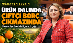 Müzeyyen Şevkin: “Ürün dalında, çiftçi borç çıkmazında”