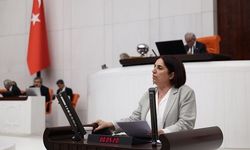 Sevilay Çelenk, Cansu Badur’un Türkiye’ye dönüşü için acil adım istedi
