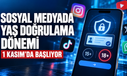Sosyal Medyaya e-Devlet Kapısı: Hangi Hesaplar Etkilenecek?