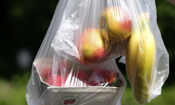 Almanya: Tek kullanımlık plastik poşet kullanımı 2022’den itibaren yasaklanacak.