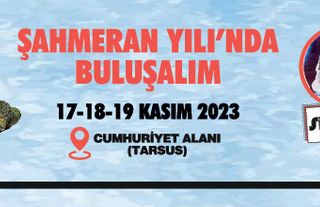 Mersin ILN01931867