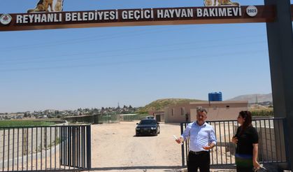 Reyhanlı Belediye Başkanı Hacıoğlu, 300 sahipsiz hayvanın yaşayacağı barınağı inceledi