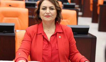 CHP Adana Milletvekili Dr. Müzeyyen Şevkin, sokak hayvanları sorununa karşı çözüm önerisi sundu