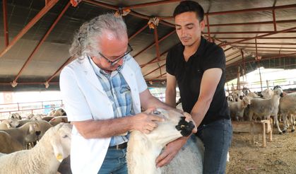 Yüreğir Belediyesi, yurttaşların güvenli gıdaya ulaşması için denetimlere devam edecek