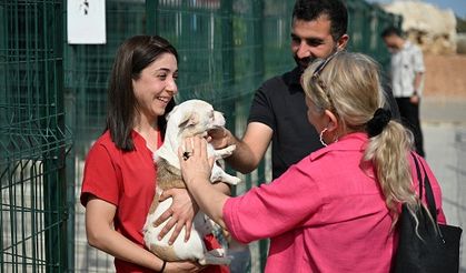 Mersin Barosu Hayvan Hakları Komisyonu, Patiköy’ü Ziyaret Etti