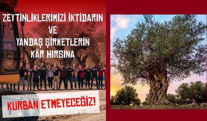 Genel Sağlık-İş: “Zeytinlikler, Ormanlar ve Doğal Alanlar Madenciliğe Kurban Edilemez”