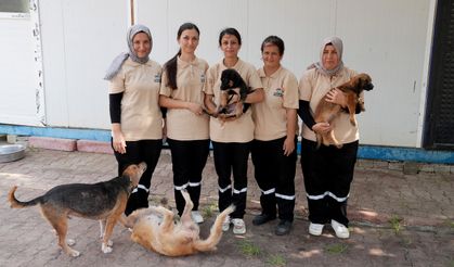 ÇUKUROVA BELEDİYESİ’NDEN CAN DOSTLARA ŞEFKAT ELİ:  “BARINAK MELEKLERİ” GÖREV BAŞINDA