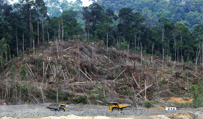 Tarım Platformu: Ormanlarımızın her ağacı, her toprağı halkındır!