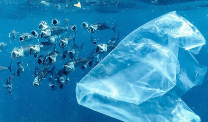 Plastik Kirliliğiyle Mücadelede Yol Ayrımı: Sistemsel Dönüşüm Zamanı