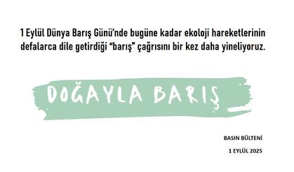"Kalıcı bir barış için onarıcı adalet kadar ekolojik iyileştirmenin de zorunlu olduğunu düşünüyoruz."