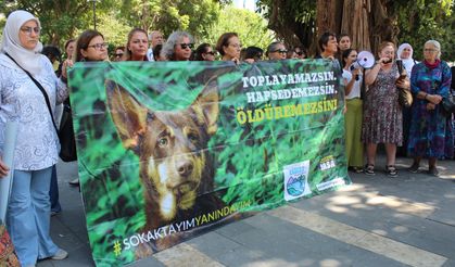 "Adana’da Sokak Hayvanlarına Yönelik Başlatılan Toplama Süreci Derhal Durdurulmalıdır"