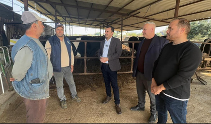 CHP’li Başevirgen, Manisa’da besicilerin sorunlarını dinledi