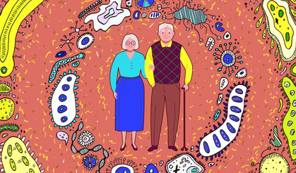 Yaşlanmayı Yavaşlatmak Mümkün mü? Bilim Bağırsaklara İşaret Ediyor