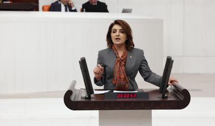 Gülcan Kış; “Milli Eğitim Bakanı Yusuf Tekin derhal istifa etmelidir.”