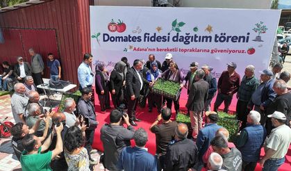 Aladağ’da 400 bin, Tufanbeyli ve Feke’de 100’er bin domates fidesi üreticiyle buluşturuldu