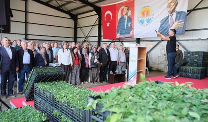 Aladağ üreticisine 400 bin domates fidesi… Kozan Girişimci Kadınlar Tarımsal Kalkınma Kooperatifi kuruldu