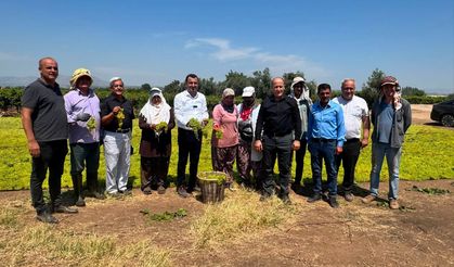 Bekir Başevirgen, Manisa, Ahmetli’de üzüm üreticilerini ziyaret etti