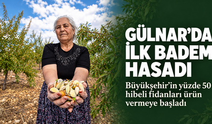 Mersin Büyükşehir’in badem fidanları Gülnar’da ilk ürünlerini verdi