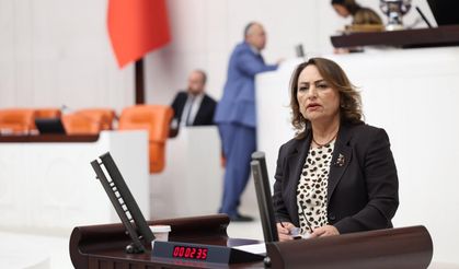 “Çukurova çiftçisi üretimden kopma noktasında”