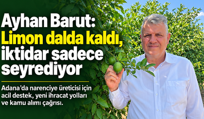 Ayhan Barut: Adana’da limon dalda kaldı, üretici acil çözüm bekliyor