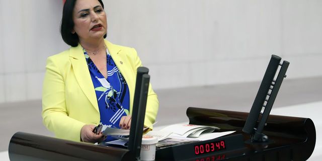 CHP Adana Milletvekili Dr. Müzeyyen Şevkin, PTT ŞUBESİ YOK, İNTERNET YOK, ELEKTRİK YOK!