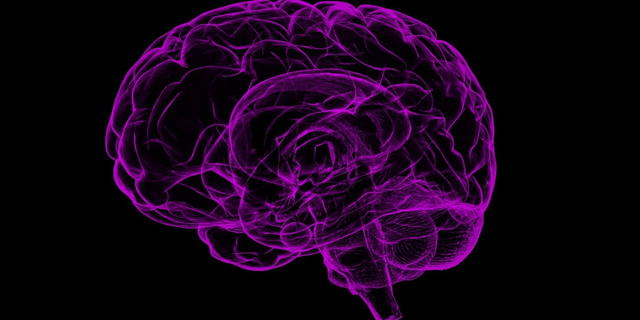 İnsan beyninin 8 ile 23 yaş arasındaki dönemde nasıl geliştiği araştırılıyor