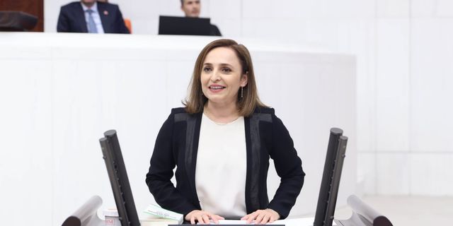 Ayşegül Doğan: Kız çocukların okula gidememe nedeni “karma eğitim” değil var olan “yoksulluk”