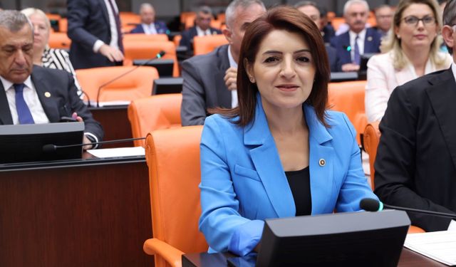 CHP Mersin Milletvekili Gülcan Kış: “Yetersiz Uçaklarla Yangınları Söndüremezsiniz”