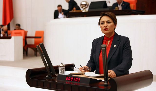 CHP'li Şevkin “Depremzede çocuklar terlikle geziyor, bazı holdingler milyar dolarlara para demiyor”