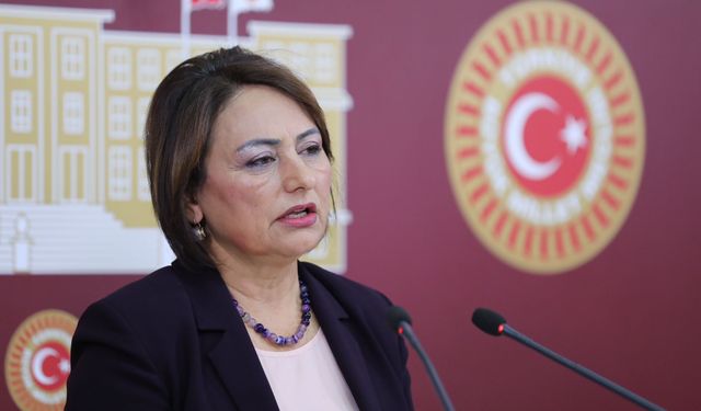 CHP'li Şevkin, “Çırak ve stajyerlerin çalışma süreleri emekliliğe yansımalıdır”