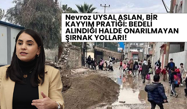 Nevroz UYSAL ASLAN, BİR KAYYIM PRATİĞİ: BEDELİ ALINDIĞI HALDE ONARILMAYAN ŞIRNAK YOLLARI!