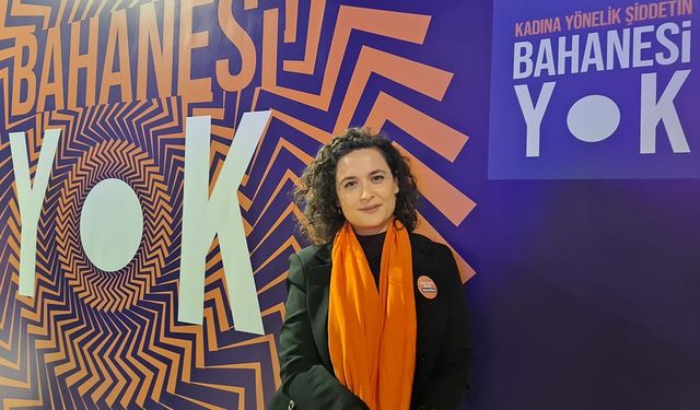 Ayşe Tek, Kadına yönelik şiddetle mücadelede kurumlar arası iş birliği şart