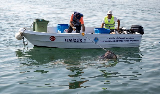 Mersin'de Denizden Çıkan Bir Ton Atığın 800 Tonu Plastik