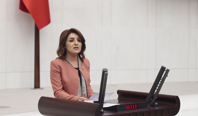 CHP’li Gülcan Kış, AKP’nin ülkenin gerçeklerinden koptuğunu söyledi