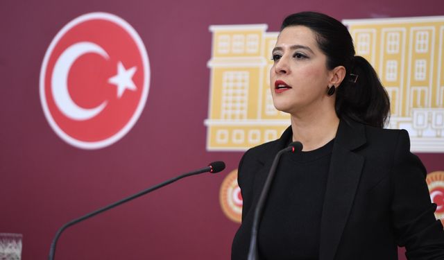 SEVDA KARACA ÖZAK DİRENİŞİ ABLUKASINI ANLATTI: TÜRKİYE BİR PATRON DEVLETİDİR