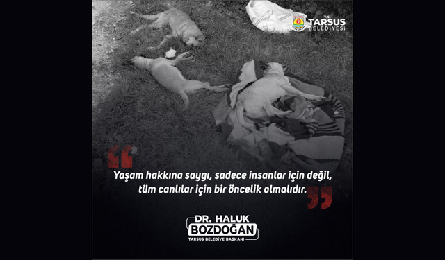 Başkan Bozdoğan, Yaşam hakkına saygı, sadece insanlar için değil, tüm canlılar için bir öncelik olmalıdır.