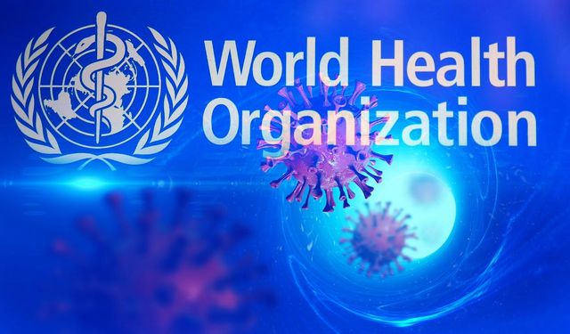 Dünya Sağlık Örgütün'den ‘Hastalık X’ salgını uyarısı!