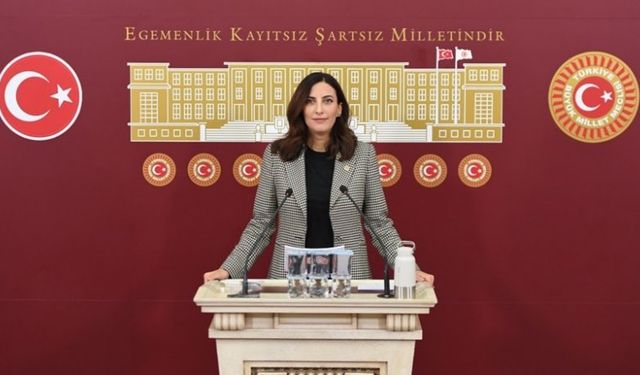 DEVA Partili Evrim Rızvanoğlu: Tek kullanımlık plastikler yasaklanmalı