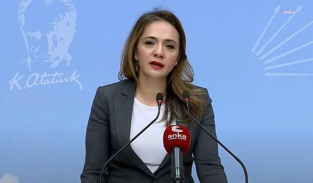 Gamze Akkuş İlgezdi: Mağdur Çocuk Sayısı 16 Yılda %533 Arttı