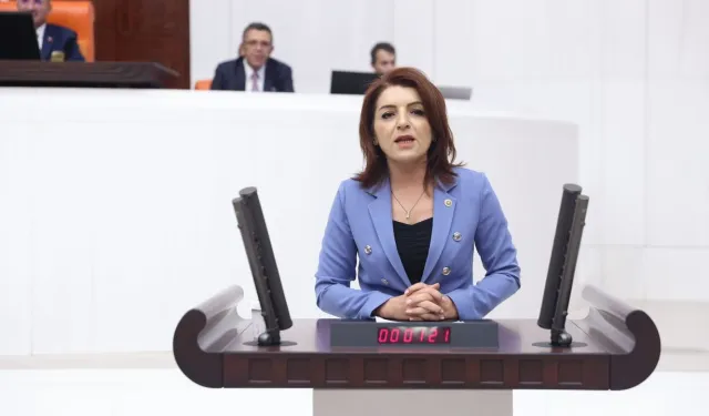 CHP'li Gülcan Kış: “Kayyım Darbesine Halk Sandıkta Cevap Verecek!”