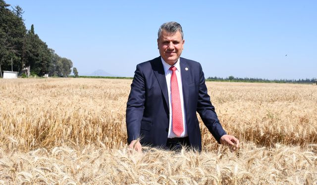 CHP Milletvekili Ayhan Barut, Buğday Üreticilerinin Sorunlarına Meclis'te Dikkat Çekti