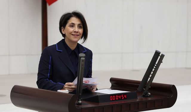 CHP’li Dr. Aylin Yaman: "Sağlık Meslek Mensupları Atama Bekliyor"