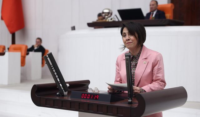 CHP’li Aylin Yaman 3 Aralık Dünya Engelliler Günü’nde engellilerin sorunlarını madde madde sıraladı