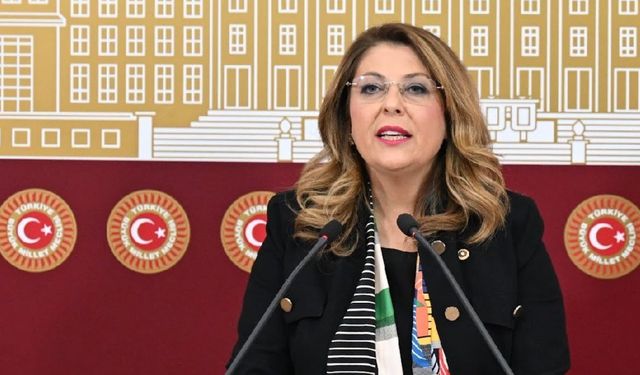 CHP MİLLETVEKİLİ GEZMİŞ: “OLİMPİK YÜZME HAVUZU'NDAKİ OLAYIN SORUŞTURMASI BİR AN ÖNCE TAMAMLANMALI”