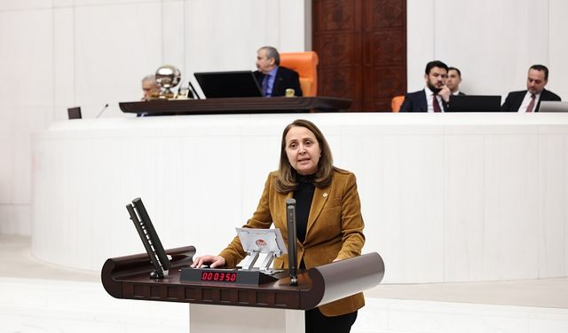 CHP’li Dinçer, Meclis'de Hans ile Hasan’ın Hikayesini Anlattı: AKP’nin Kölelik Düzeninde Emek Ucuz, Ekmek Pahalı